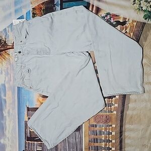 Free People Icy Blue Dad Jeans Size 29 NWT